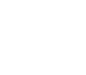 ミュージシャン THE GREAT SATSUMANIAN HESTIVAL 2019 THE GREAT SATSUMANIAN HESTIVAL 2019(ザ・グレート