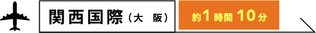 関西国際