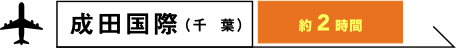 成田国際